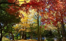-Ebisu 2Come- 10-Minute Walk From Ebisu Station